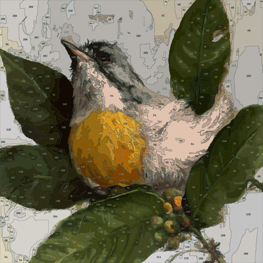The same bird, traced into numbered painting shapes with their colours in place
