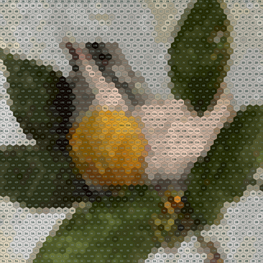 The same bird as a numbered hexagon worksheet