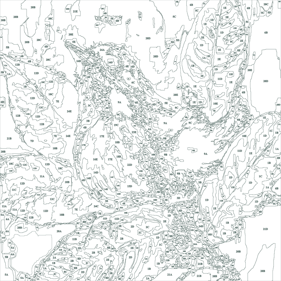 The same bird as an uncoloured worksheet of numbered outlines